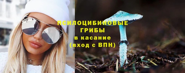 сатива Волоколамск