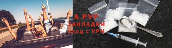 сатива Волоколамск