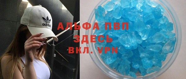 сатива Волоколамск