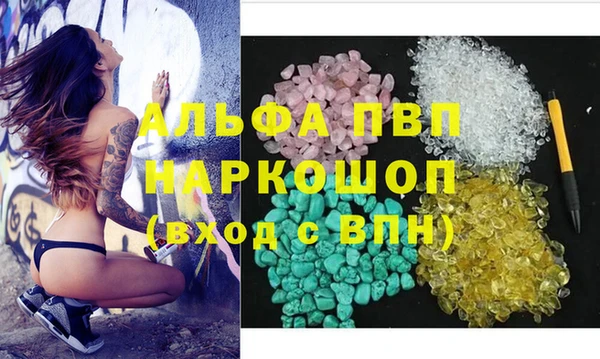 сатива Волосово
