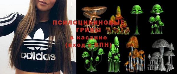 сатива Волоколамск