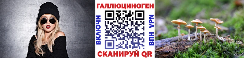 Галлюциногенные грибы Psilocybe  Задонск 