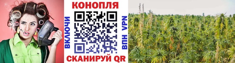 наркошоп  Задонск  Бошки марихуана план 